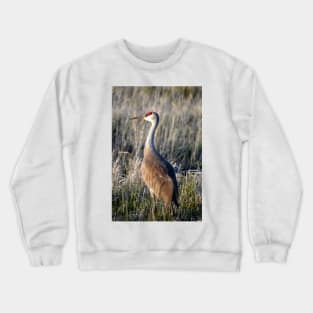 Sunset Sandhill Crane Crewneck Sweatshirt